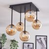 Chehalis Lámpara de Techo - Cristal dorado, Negro, 5 luces