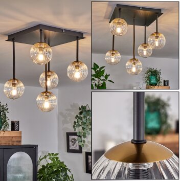 Chehalis Lámpara de Techo - Cristal dorado, Negro, 5 luces