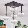 Chehalis Lámpara de Techo - Cristal dorado, Negro, 5 luces