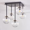 Chehalis Lámpara de Techo - Cristal dorado, Negro, 5 luces