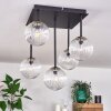 Chehalis Lámpara de Techo - Cristal dorado, Negro, 5 luces