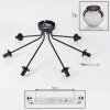 Koyoto Lámpara de Techo - Cristal Cromo, Ahumado, 7 luces