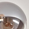 Gastor Lámpara de Techo - Cristal Colores ámbar, Ahumado, 7 luces