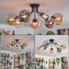 Gastor Lámpara de Techo - Cristal Colores ámbar, Transparente, Ahumado, 7 luces