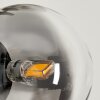 Remaisnil Lámpara de Pie - Cristal Transparente, Ahumado, 5 luces