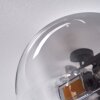 Chehalis Lámpara de Techo - Cristal Transparente, Ahumado, 4 luces