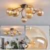 Chehalis Lámpara de Techo - Cristal dorado, Negro, 6 luces