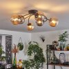 Chehalis Lámpara de Techo - Cristal Colores ámbar, Ahumado, 6 luces