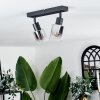 Leteque Lámpara de Techo Negro, 2 luces