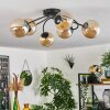 Chehalis Lámpara de Techo - Cristal Colores ámbar, 6 luces