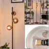Remaisnil Lámpara de Pie - Cristal Ahumado, 3 luces