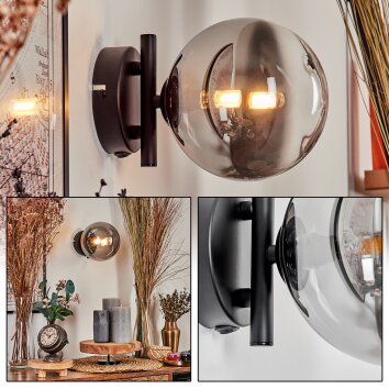 Chehalis Aplique - Cristal Transparente, Ahumado, 1 luz