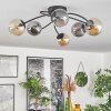 Chehalis Lámpara de Techo - Cristal Colores ámbar, Ahumado, 6 luces