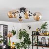 Chehalis Lámpara de Techo - Cristal Colores ámbar, 6 luces