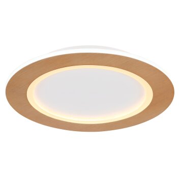 Globo CLAY Lámpara de Techo LED Color madera, Blanca, 1 luz