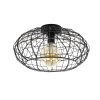 Connect Lámpara de Techo Marrón, Negro, 1 luz