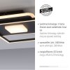 Leuchten-Direkt DOMINO Lámpara de Techo LED Negro, 1 luz