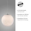 Paul-Neuhaus BOLO Lámpara Colgante LED Plata, 1 luz