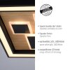 Paul-Neuhaus ELIZA Lámpara de Techo LED Crudo, Negro, 1 luz