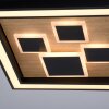 Paul-Neuhaus ELIZA Lámpara de Techo LED Crudo, Negro, 1 luz