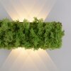 Leuchten-Direkt GREEN CARLO Aplique LED Plata, 6 luces