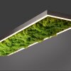 Leuchten-Direkt GREEN KNUT Lámpara de Techo LED Plata, 1 luz
