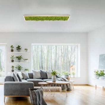 Leuchten-Direkt GREEN KNUT Lámpara de Techo LED Plata, 1 luz Leuchten-Direkt GREEN KNUT Lámpara de Techo LED Plata, 1 luz
