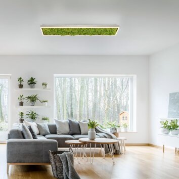 Leuchten-Direkt GREEN KNUT Lámpara de Techo LED Plata, 1 luz