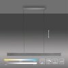 Paul-Neuhaus NANIA Lámpara Colgante LED Gris, 1 luz