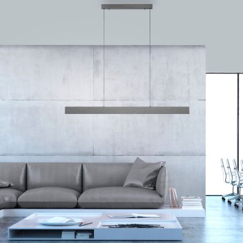 Paul-Neuhaus NANIA Lámpara Colgante LED Gris, 1 luz
