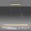Paul-Neuhaus NANIA Lámpara Colgante LED dorado, 1 luz