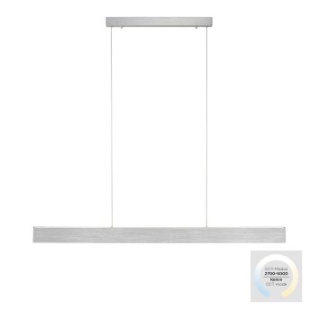 Paul-Neuhaus NANIA Lámpara Colgante LED Plata, 1 luz