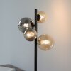Paul-Neuhaus POPSICLE Lámpara de mesa LED Negro, 4 luces