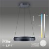 Paul-Neuhaus PURE E-CLIPSE Lámpara Colgante LED Gris, 2 luces, Mando a distancia