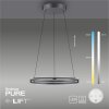 Paul-Neuhaus PURE E-LOOP Lámpara Colgante LED Gris, 2 luces, Mando a distancia