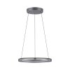 Paul-Neuhaus PURE E-LOOP Lámpara Colgante LED Gris, 2 luces, Mando a distancia