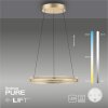 Paul-Neuhaus PURE E-LOOP Lámpara Colgante LED dorado, 2 luces, Mando a distancia