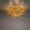 Paul-Neuhaus SAREA Lámpara de Techo dorado, 10 luces