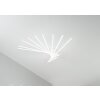 Lutec SHANGHAI Lámpara de Techo LED Blanca, 9 luces