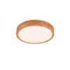 Trio ISEO Lámpara de Techo LED Madera clara, 1 luz