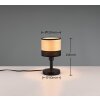 Reality BOLZANO Lámpara de mesa Negro, 1 luz