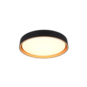 Reality FELIS Lámpara de Techo LED Negro-dorado, 1 luz, Mando a distancia