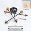 Chehalis Lámpara de Techo - Cristal 12 cm dorado, Negro, 6 luces