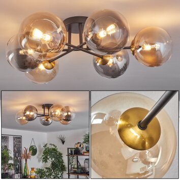 Chehalis Lámpara de Techo - Cristal 15 cm dorado, Negro, 6 luces