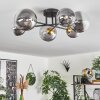 Chehalis Lámpara de Techo - Cristal 12 cm, 15 cm dorado, Negro, 6 luces