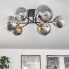 Chehalis Lámpara de Techo - Cristal 12 cm, 15 cm dorado, Negro, 6 luces