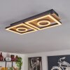 Taboneira Lámpara de Techo LED Crudo, Negro, 2 luces