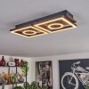 Taboneira Lámpara de Techo LED marrón oscuro, Negro, 2 luces