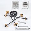 Chehalis Lámpara de Techo - Cristal 10 cm, 12 cm, 15 cm dorado, Negro, 6 luces