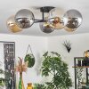 Chehalis Lámpara de Techo - Cristal 15 cm dorado, Negro, 6 luces